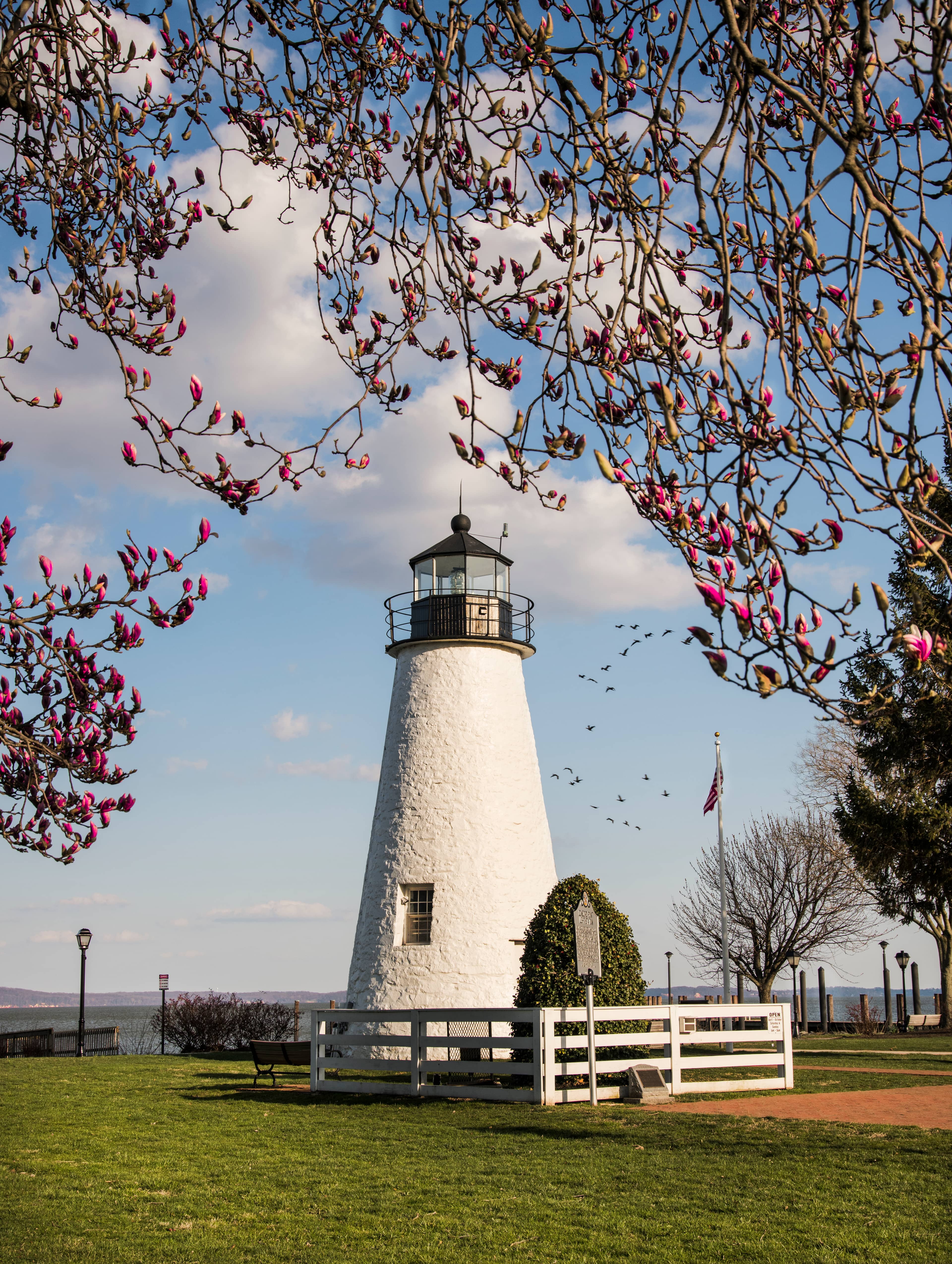 Waterfront Promenade