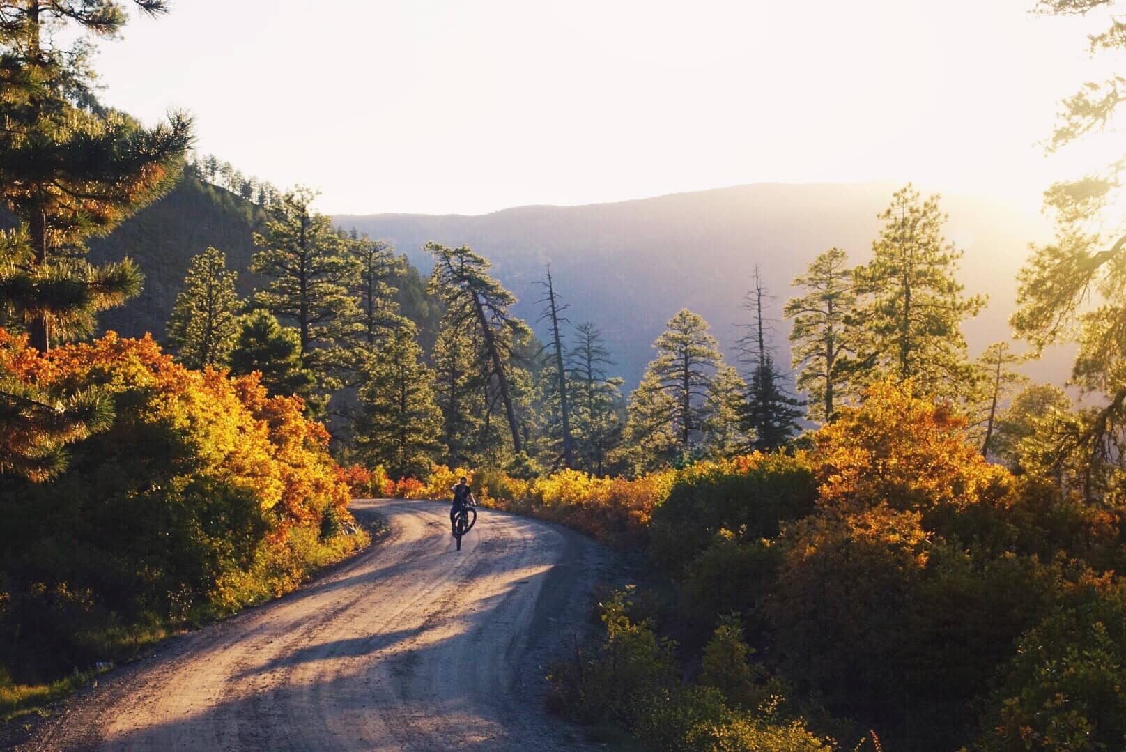 Fall Foliage Hike