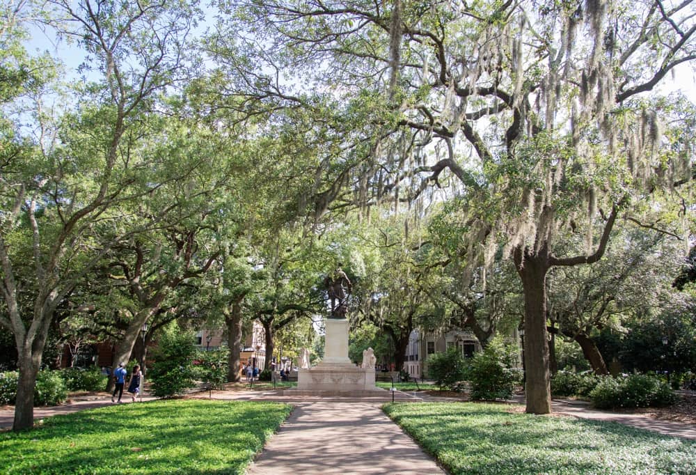 Historic Oaks and Scenery