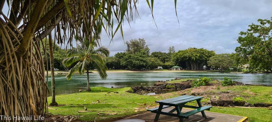 Picnic & Relaxation