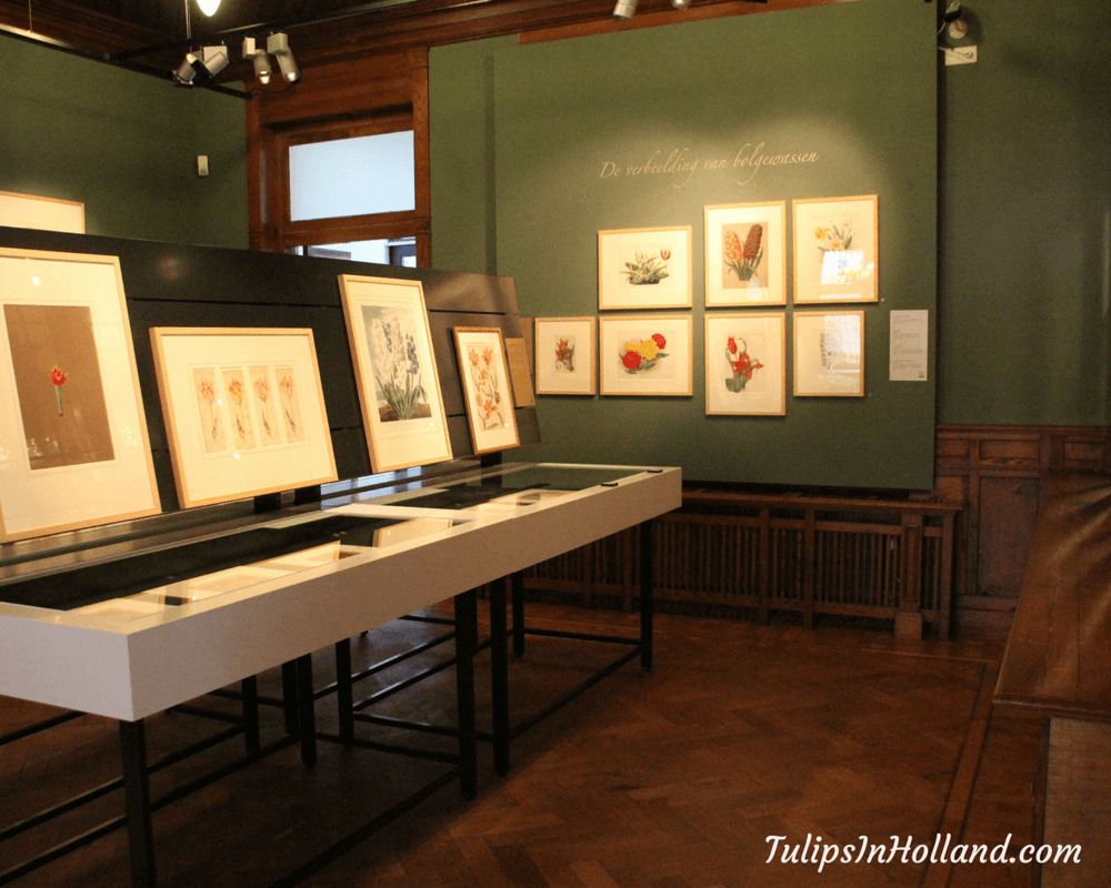 Temporary Exhibitions