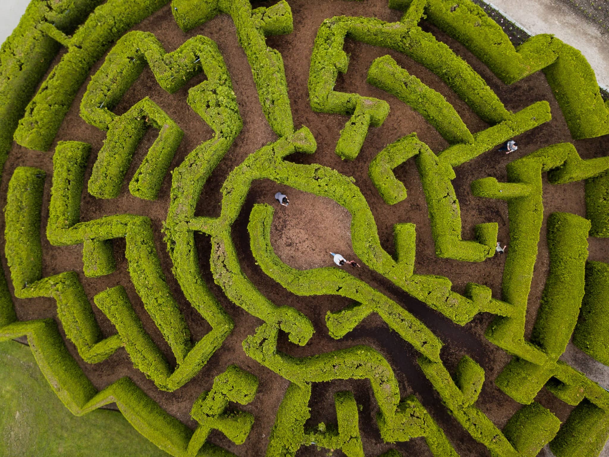 The Maze