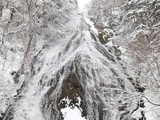 Winter Wonderland