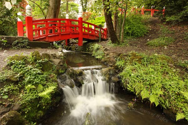 Japanese Bridge