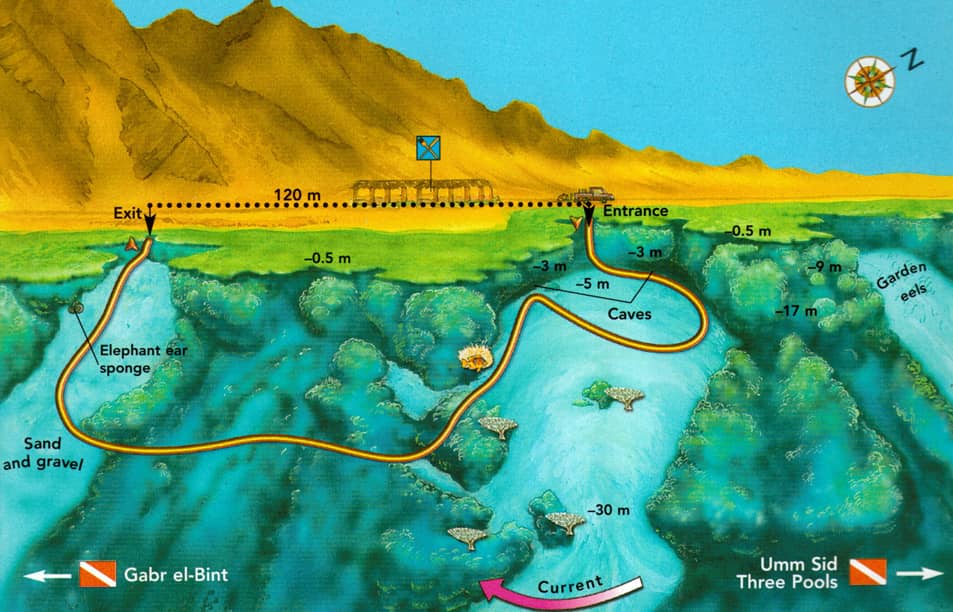 Shallow Dive Depth