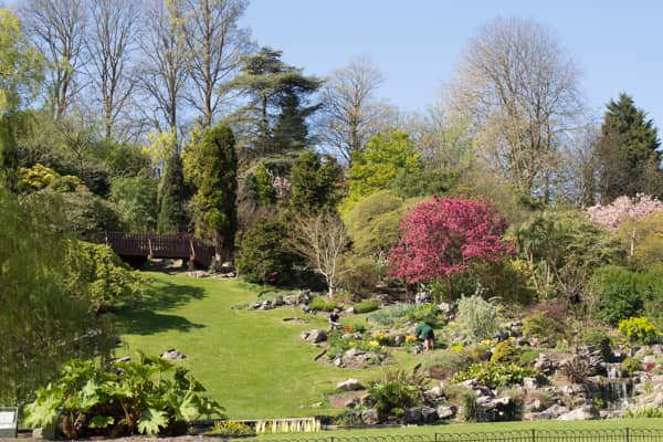Rock Gardens