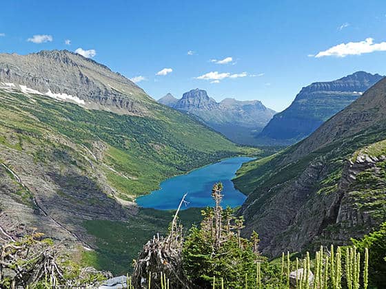 Jackson Glacier Views