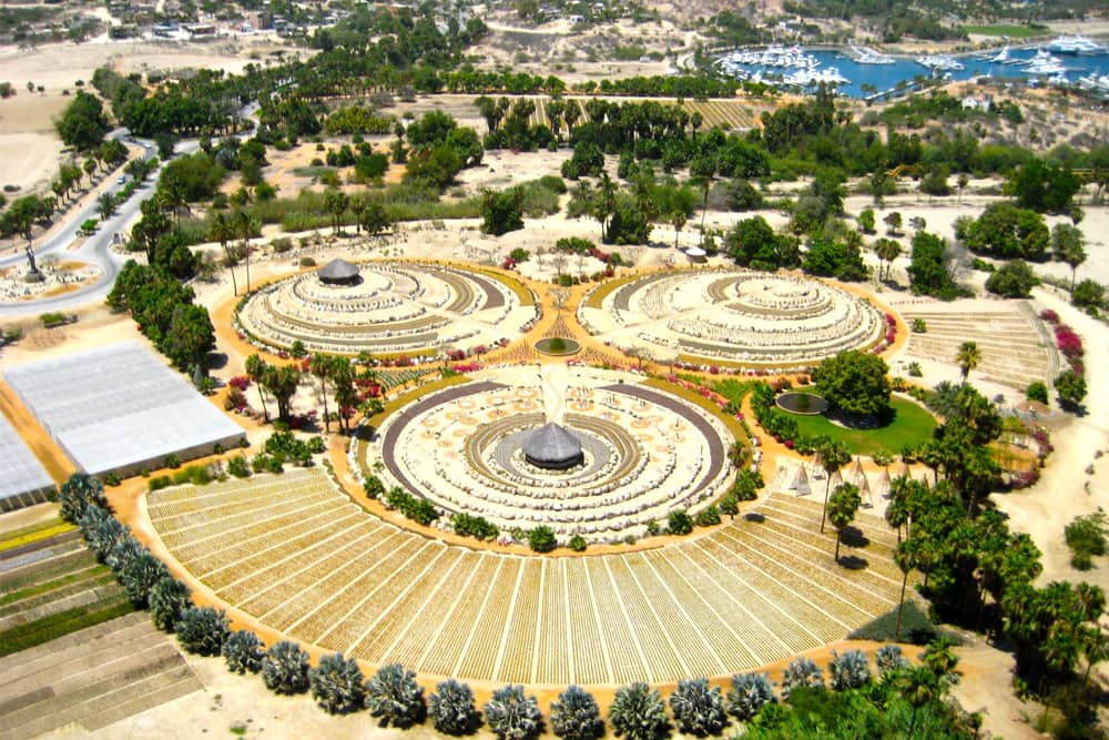 Landscaping and Sculptures