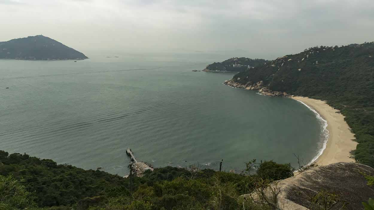 Forest-Backed Scenery