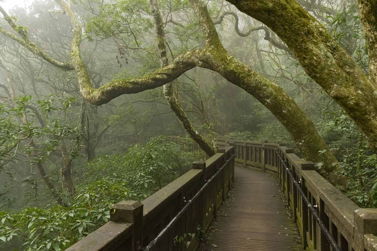 Beitou Park