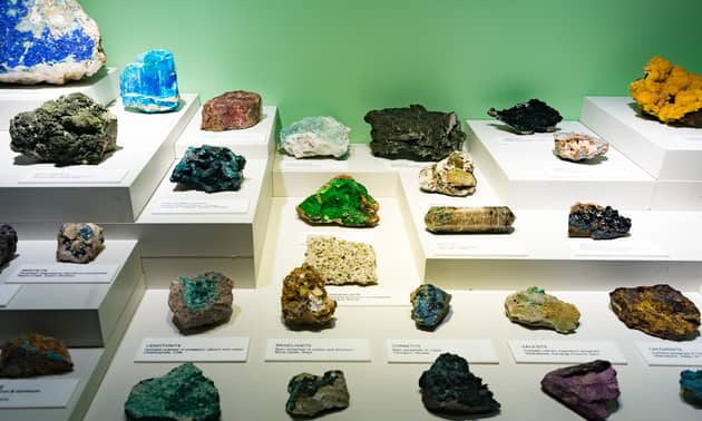 Minerals & Prehistoric Life