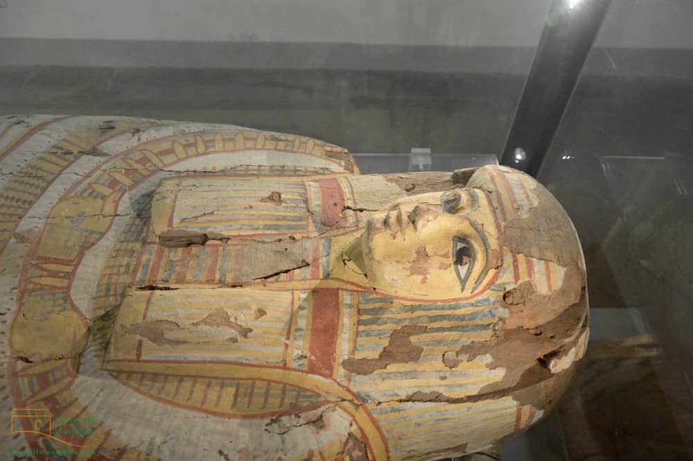 Egyptian Section