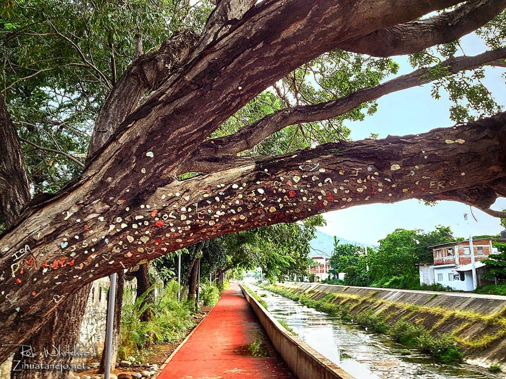 Canal-Side Promenade