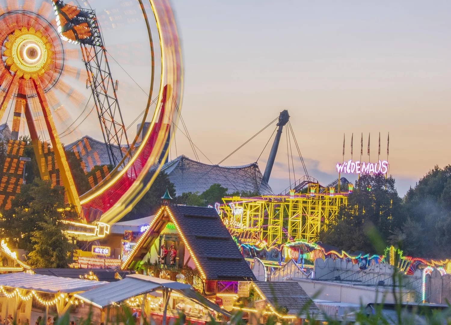Summer Festivals & Concerts