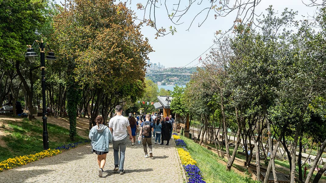 Peaceful Green Escape