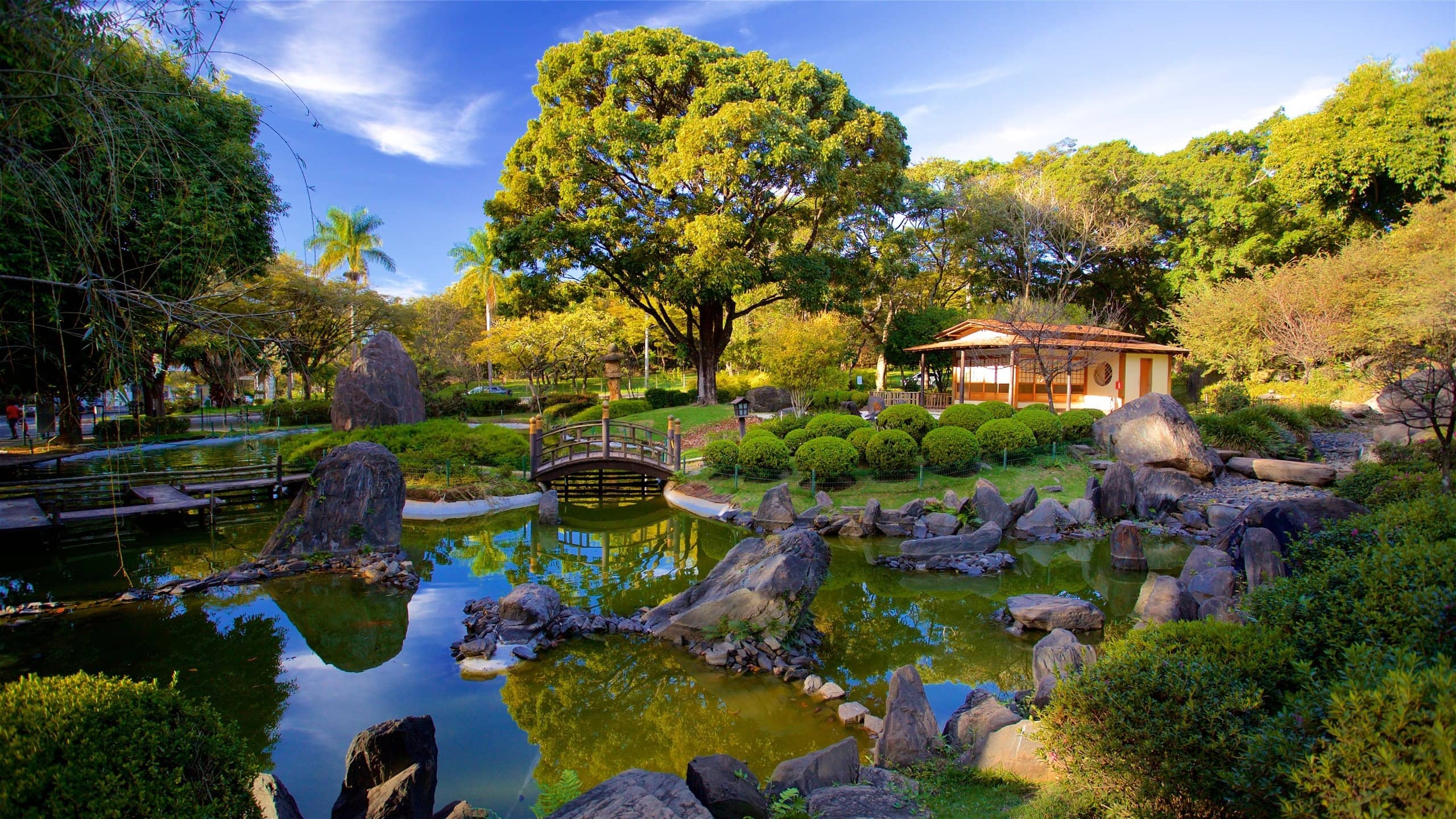 Japanese Water Gardens