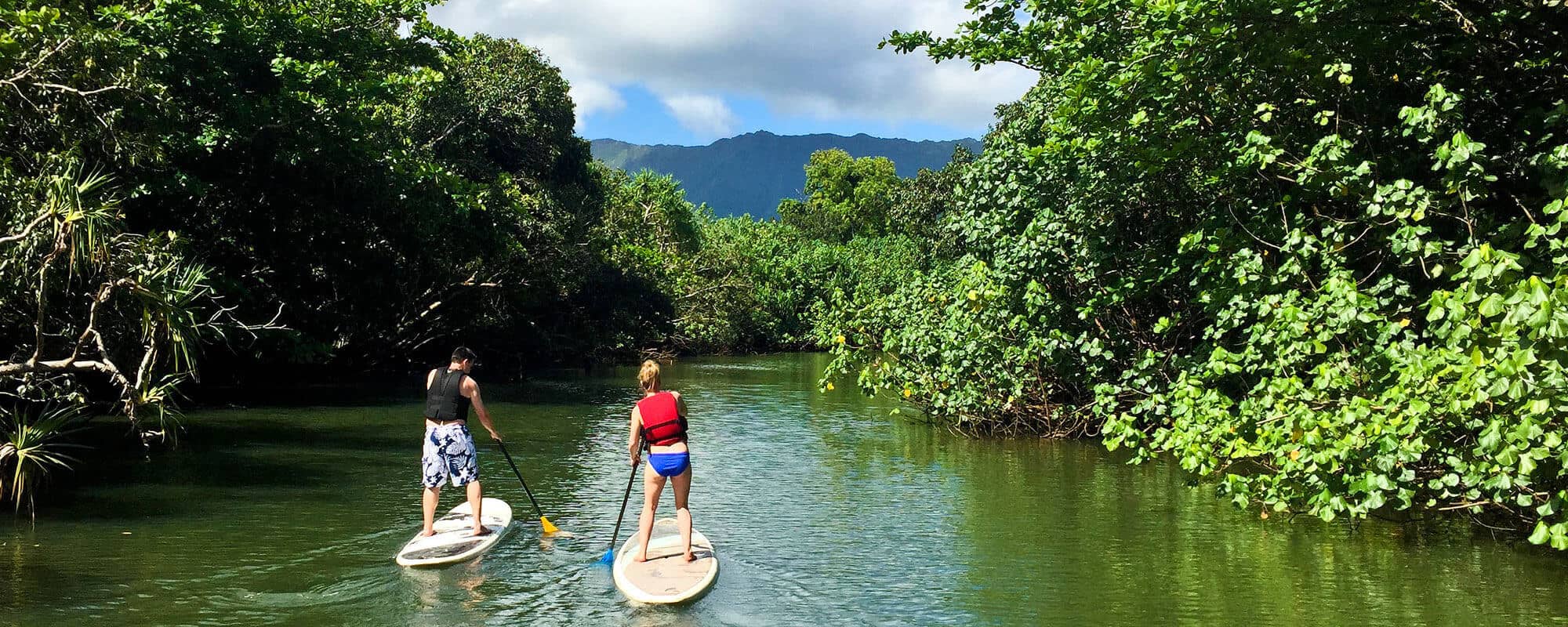 Rainforest Paddleboarding