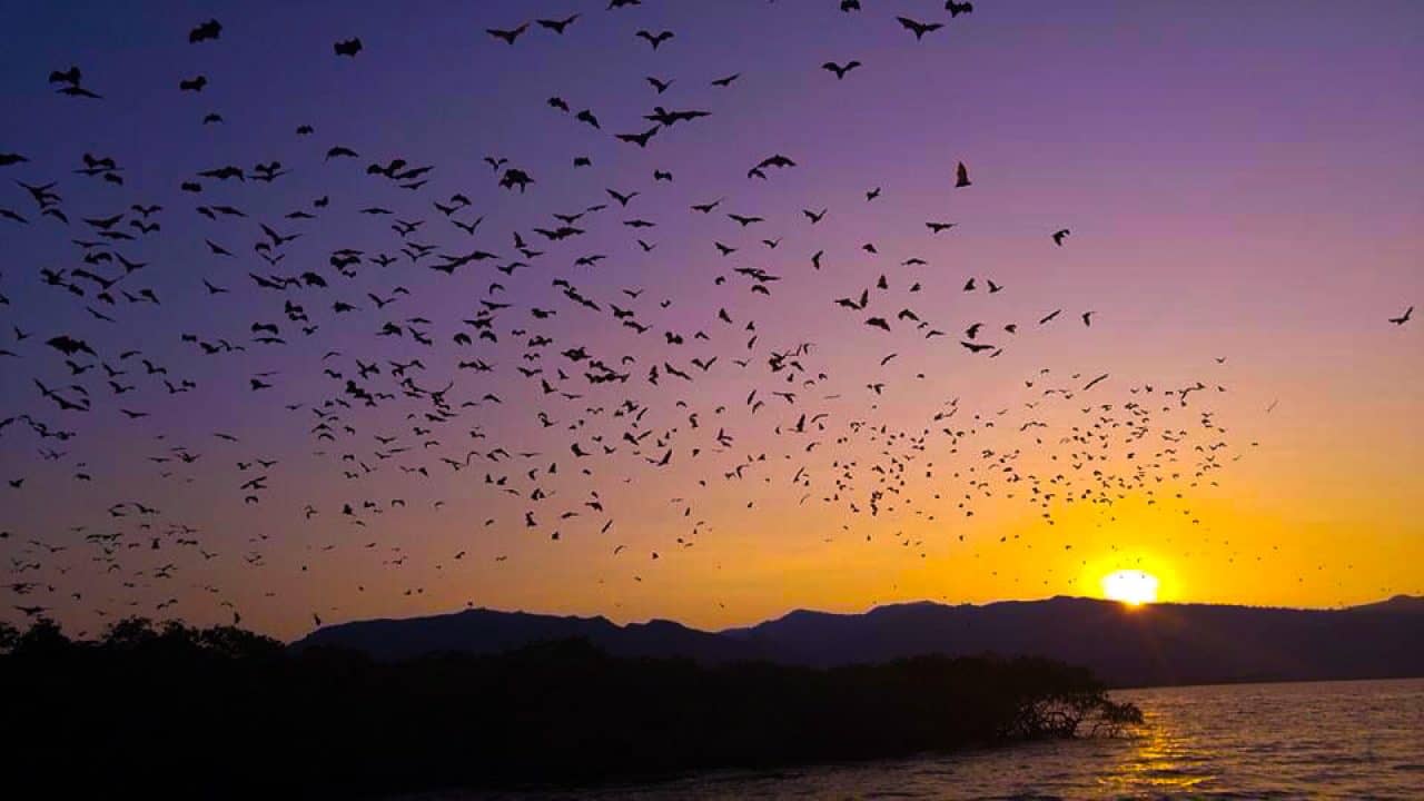 Sunset at Kalong Island