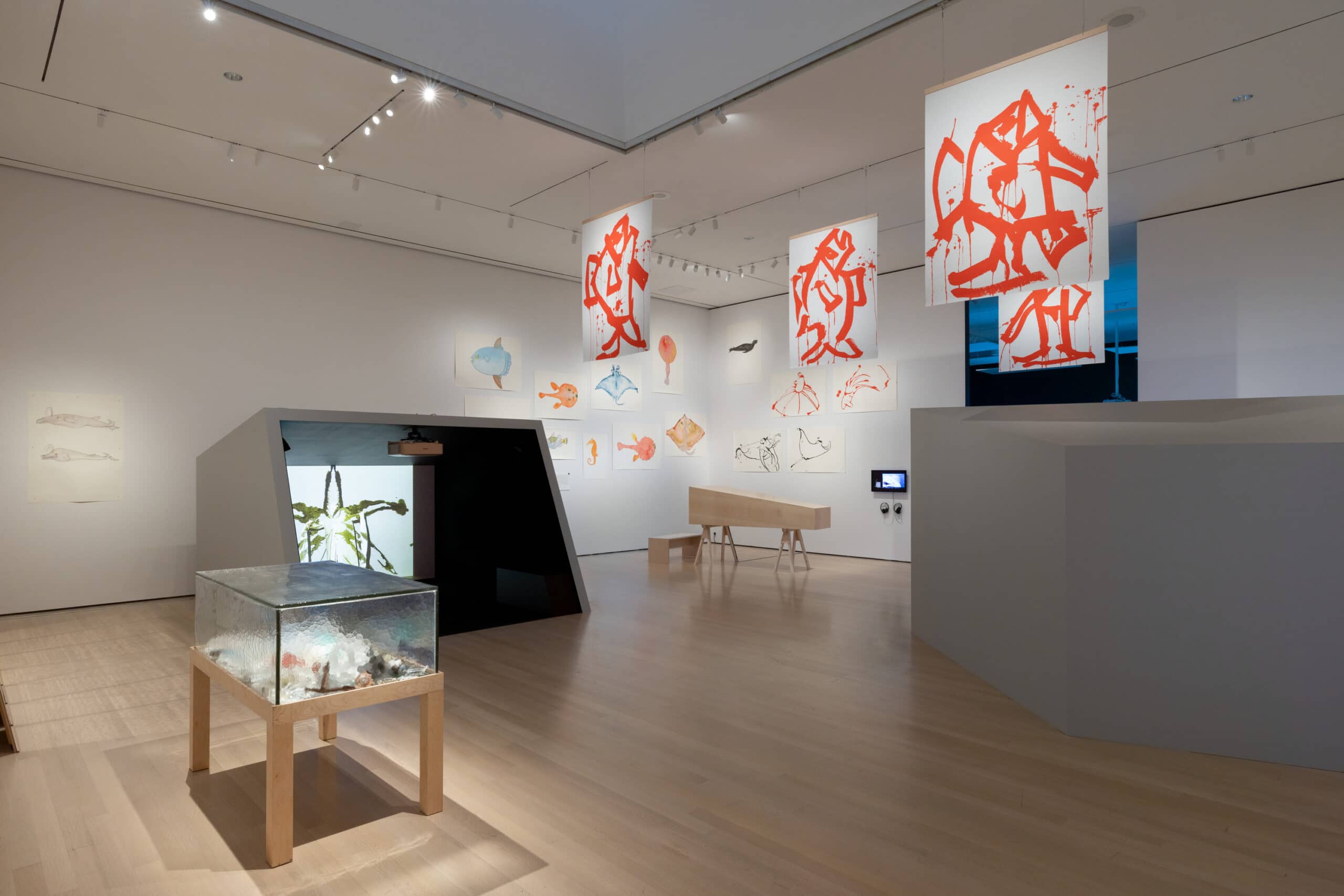 Canadian & Indigenous Art