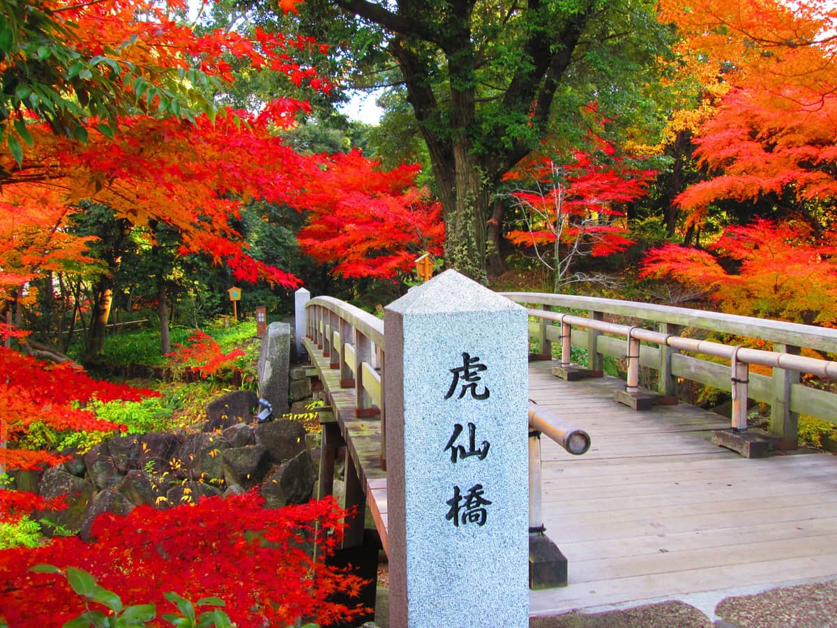 Seasonal Foliage