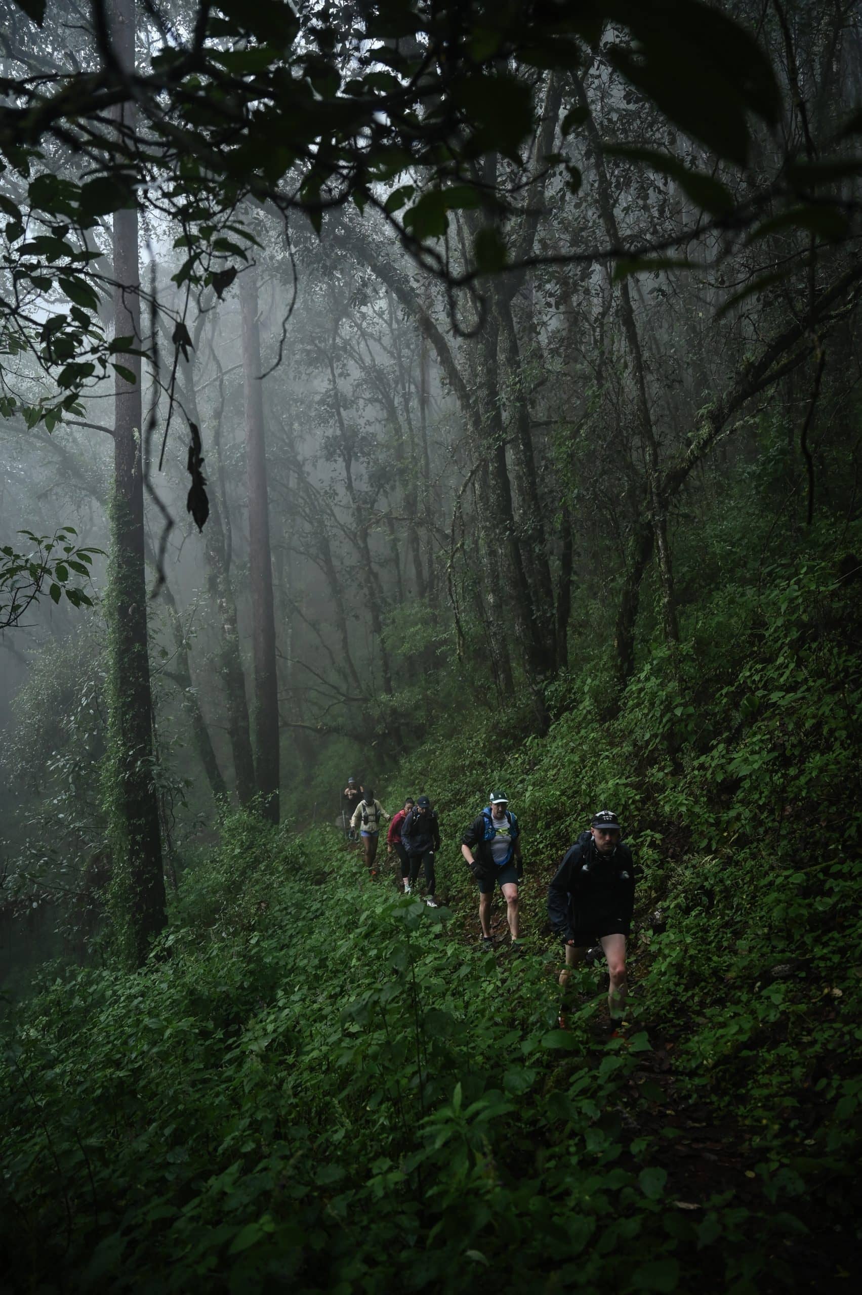 Ecotourism Activities