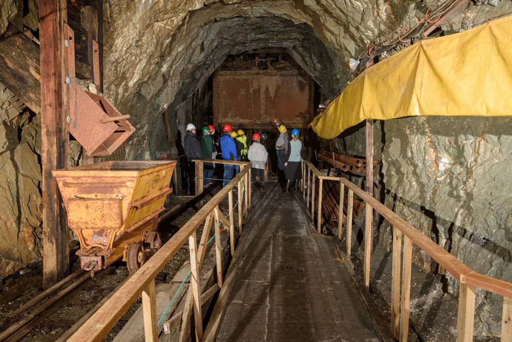 Gold Panning Experience