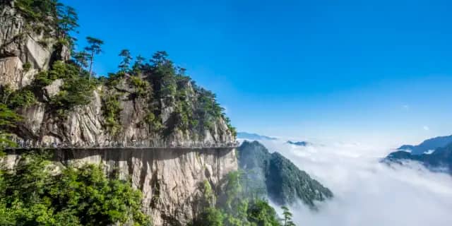 Scenic Hiking Trails