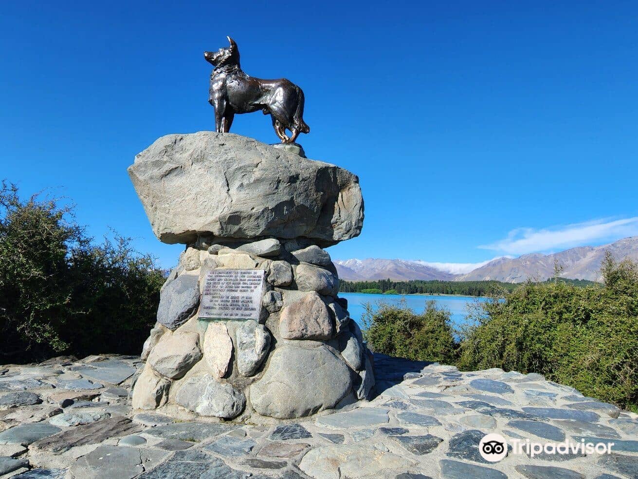 Collie Dog Memorial