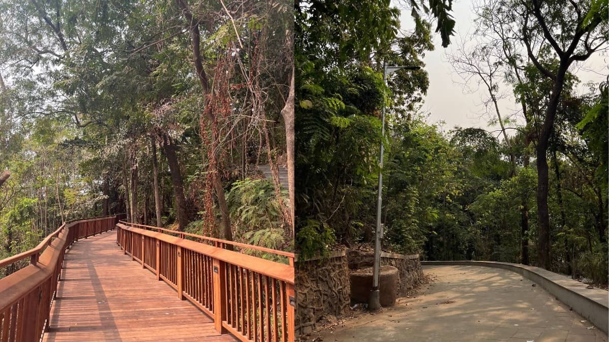 Lush Greenery and Walking Trails