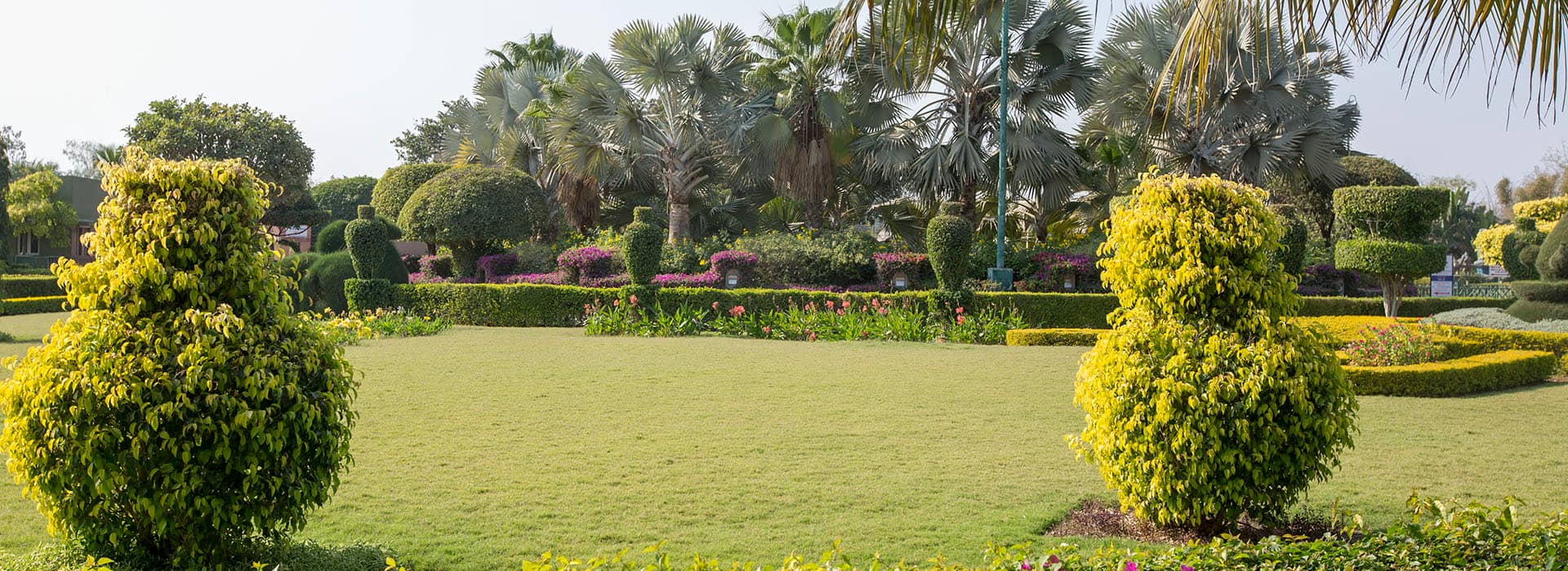 The Gardens