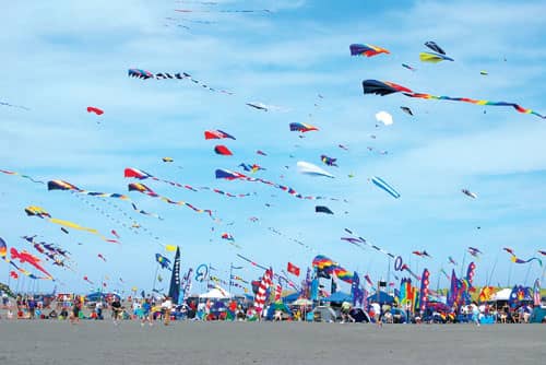 Kite Flying Spectacle