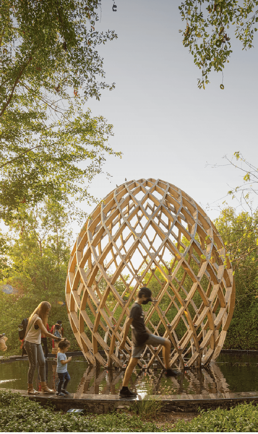 Art Installations