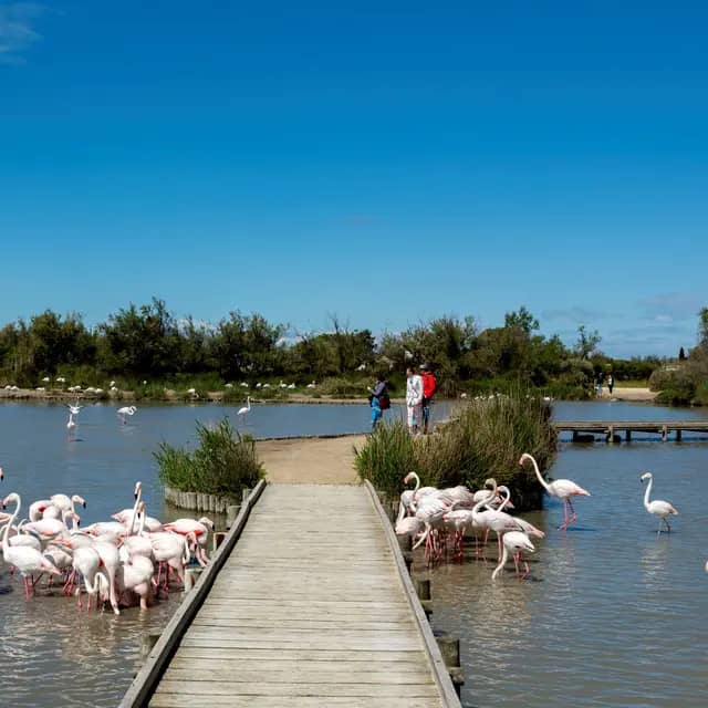 Scenic Walking Trails