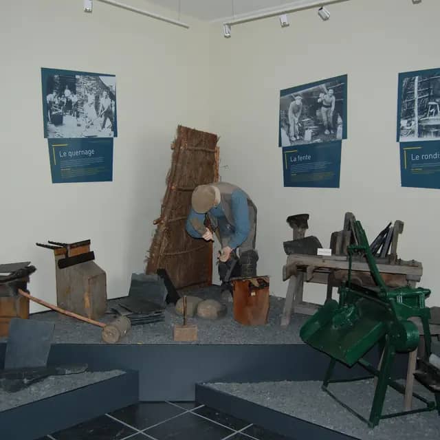 Museum Exhibits