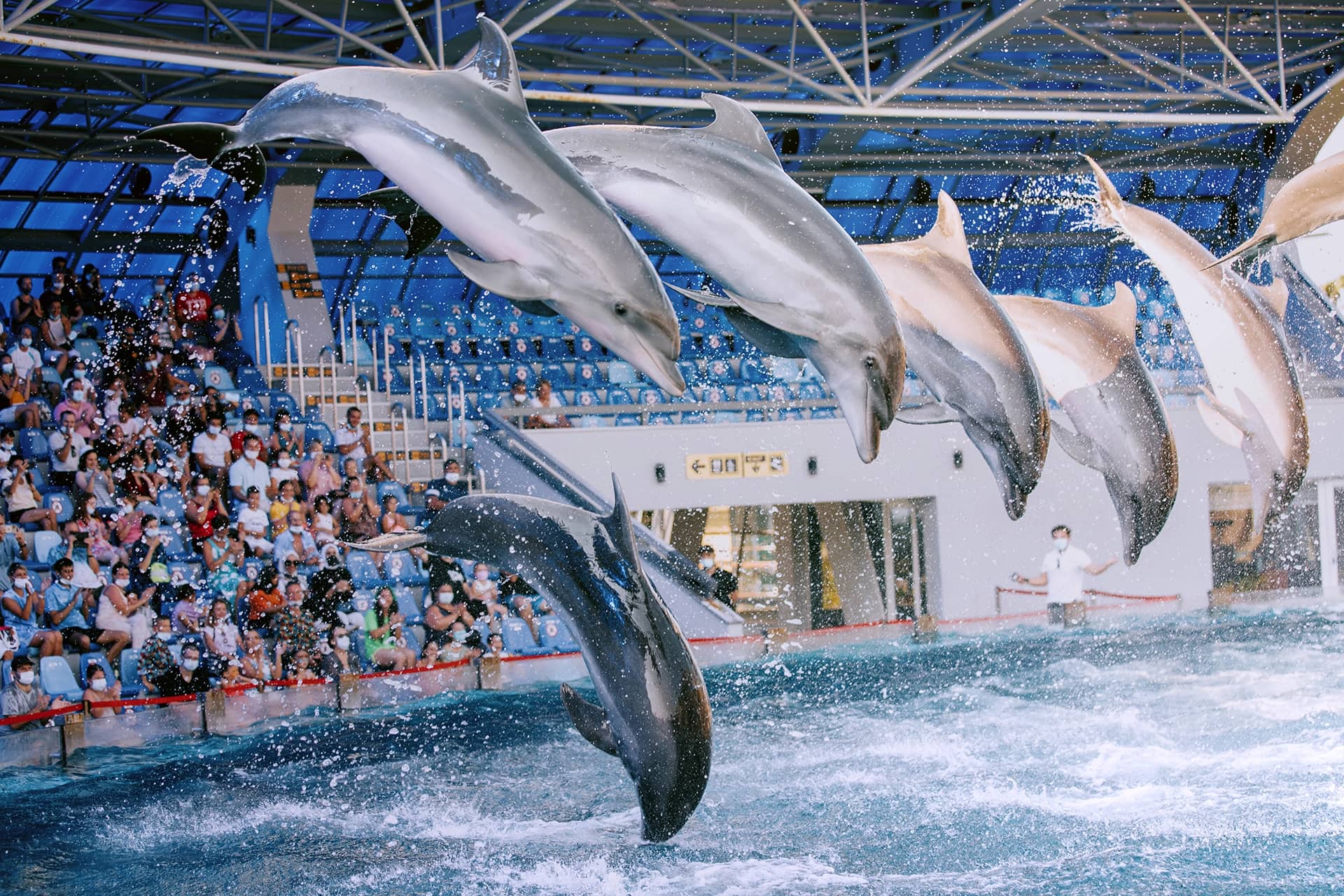 Yacht Tours & Dolphin Watching