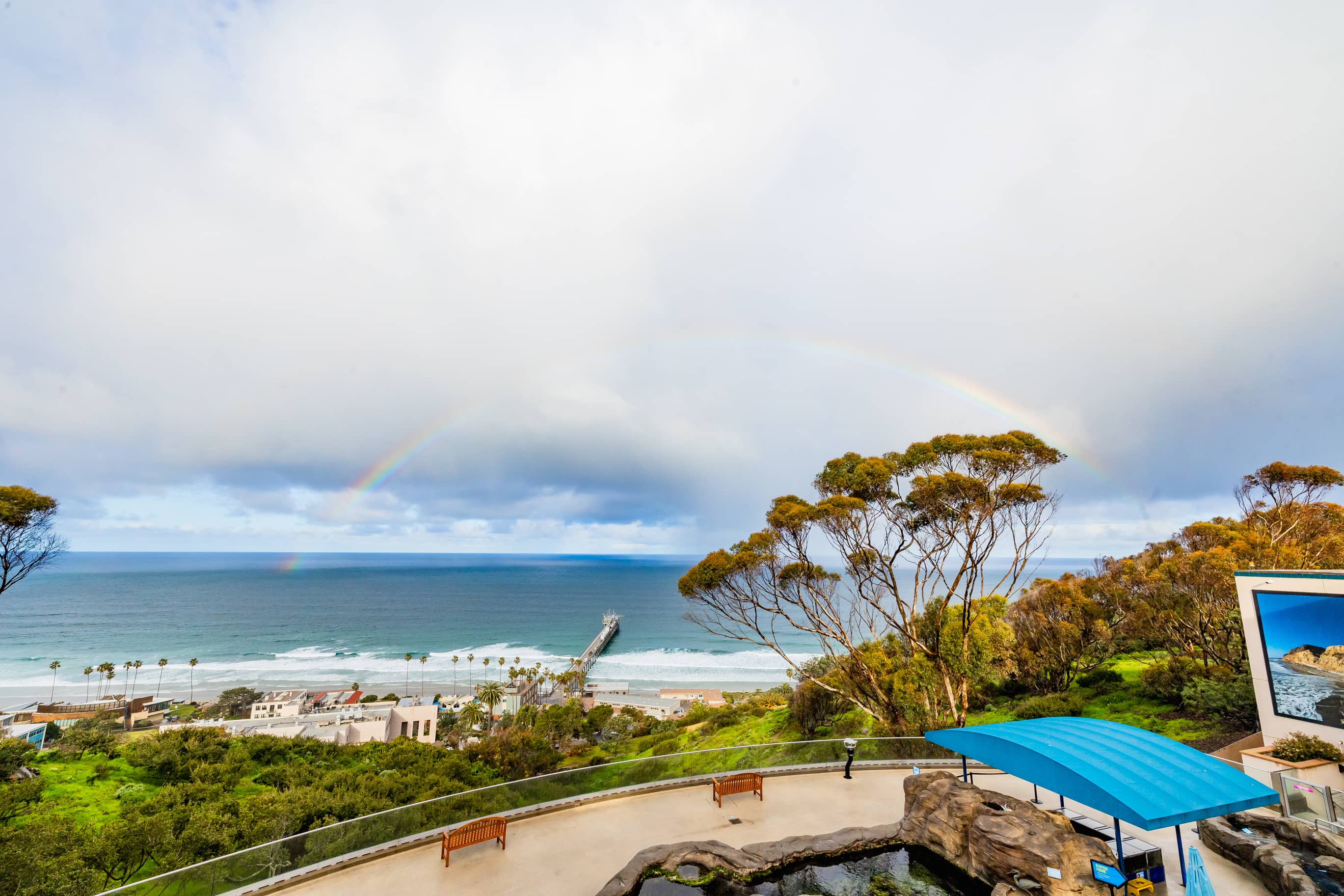 Tidal Pools & Interactive Zones