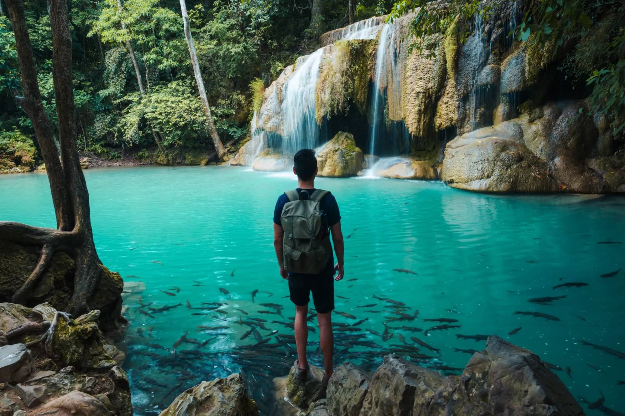 Scenic Hiking Trails