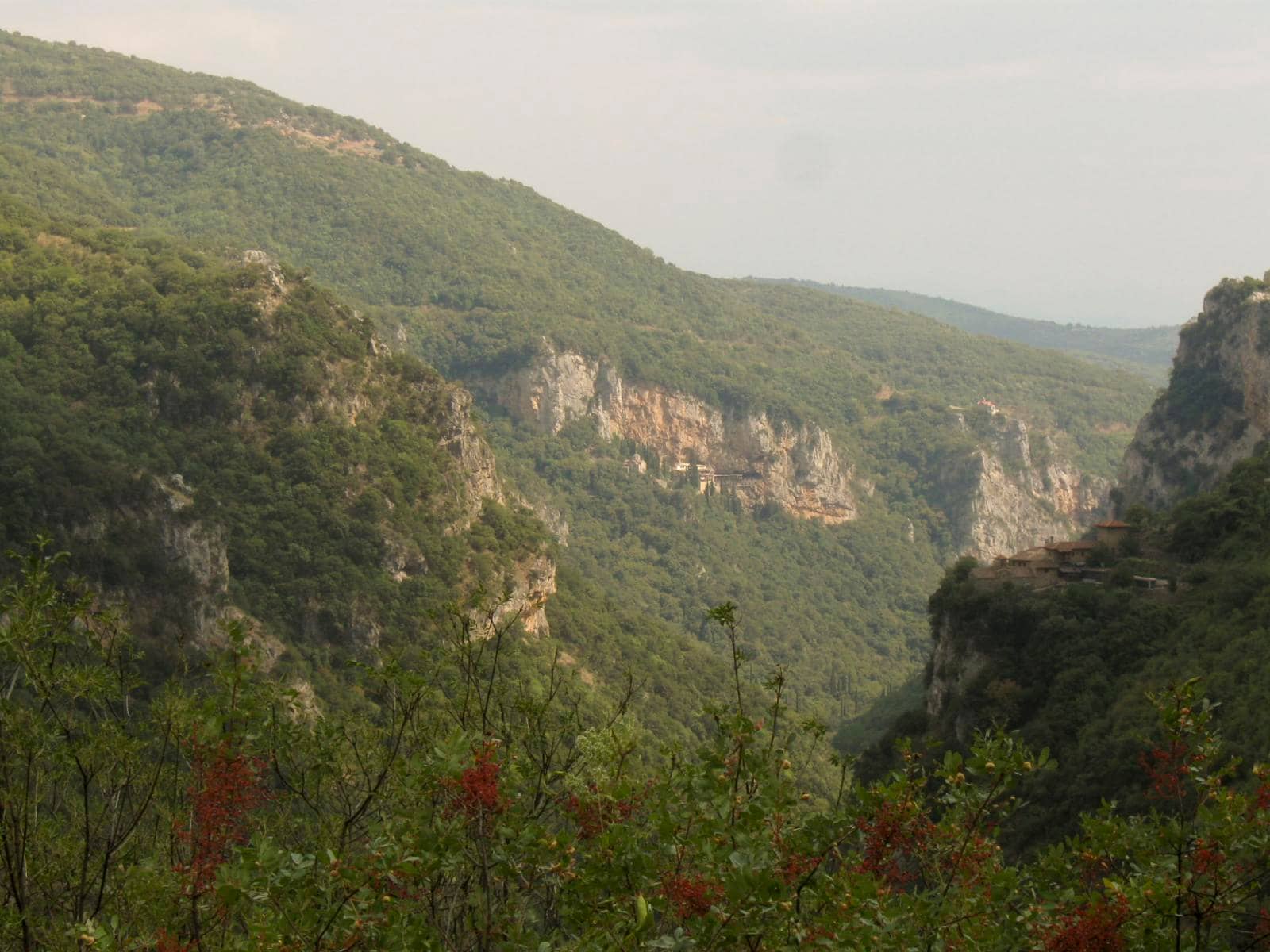 Forested Hiking Trails