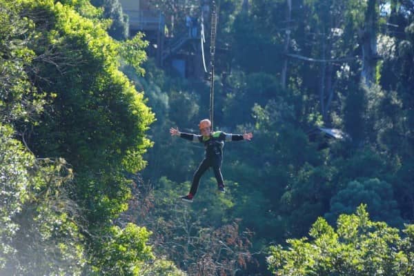 Zip Line