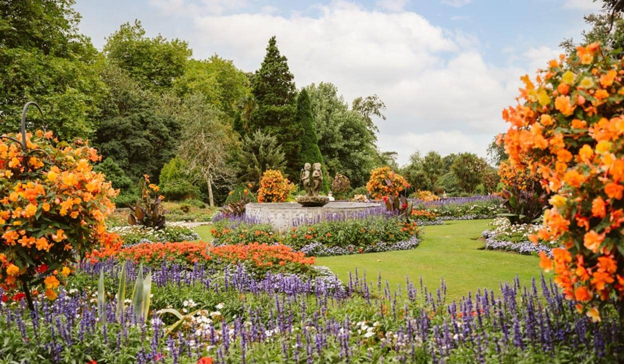 Open Lawns & Play Areas