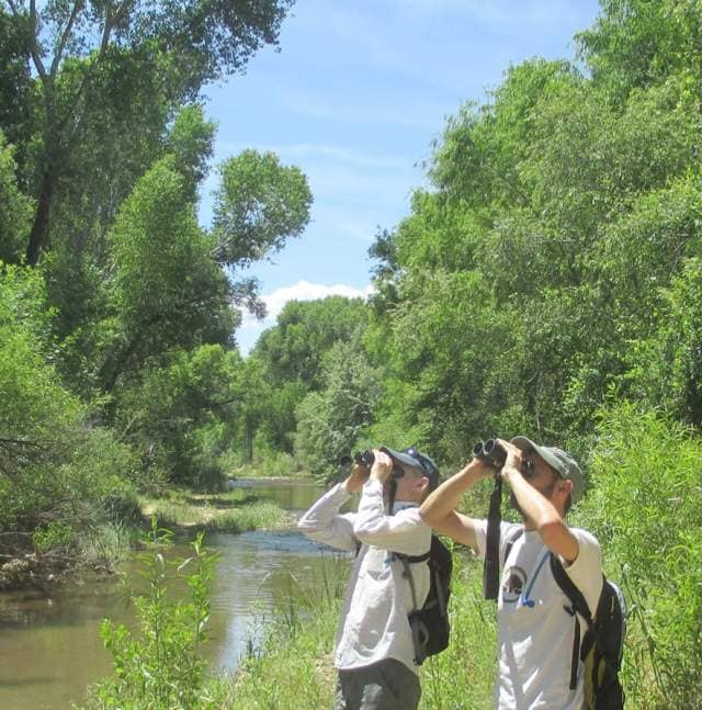 Birdwatching Opportunities