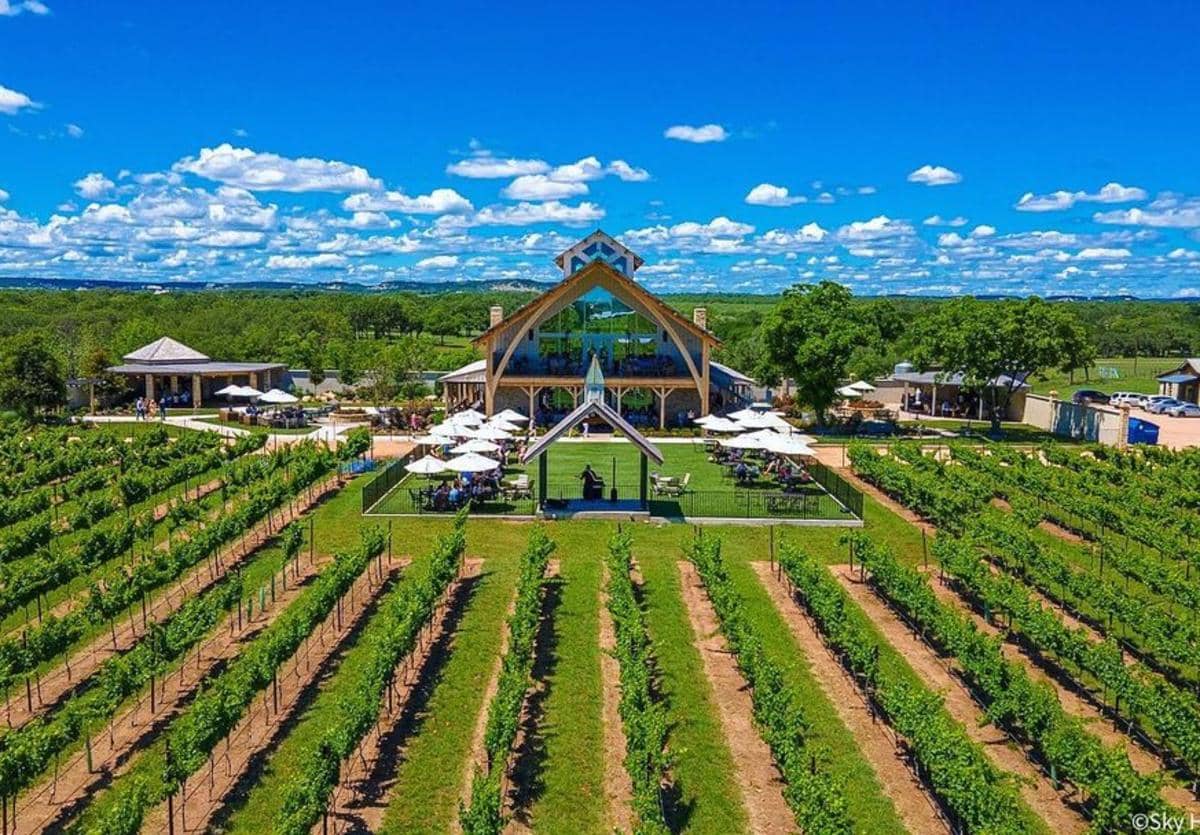 Lush Gardens and Vineyard Views