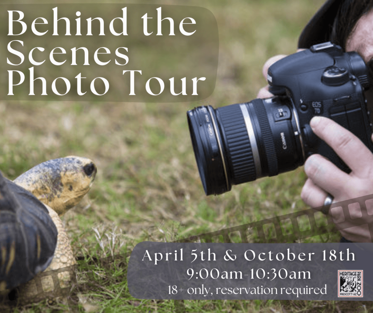 Behind-the-Scenes Tour
