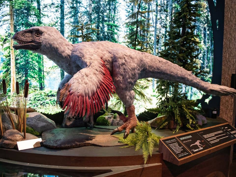 Arctic Dinosaurs & Wildlife
