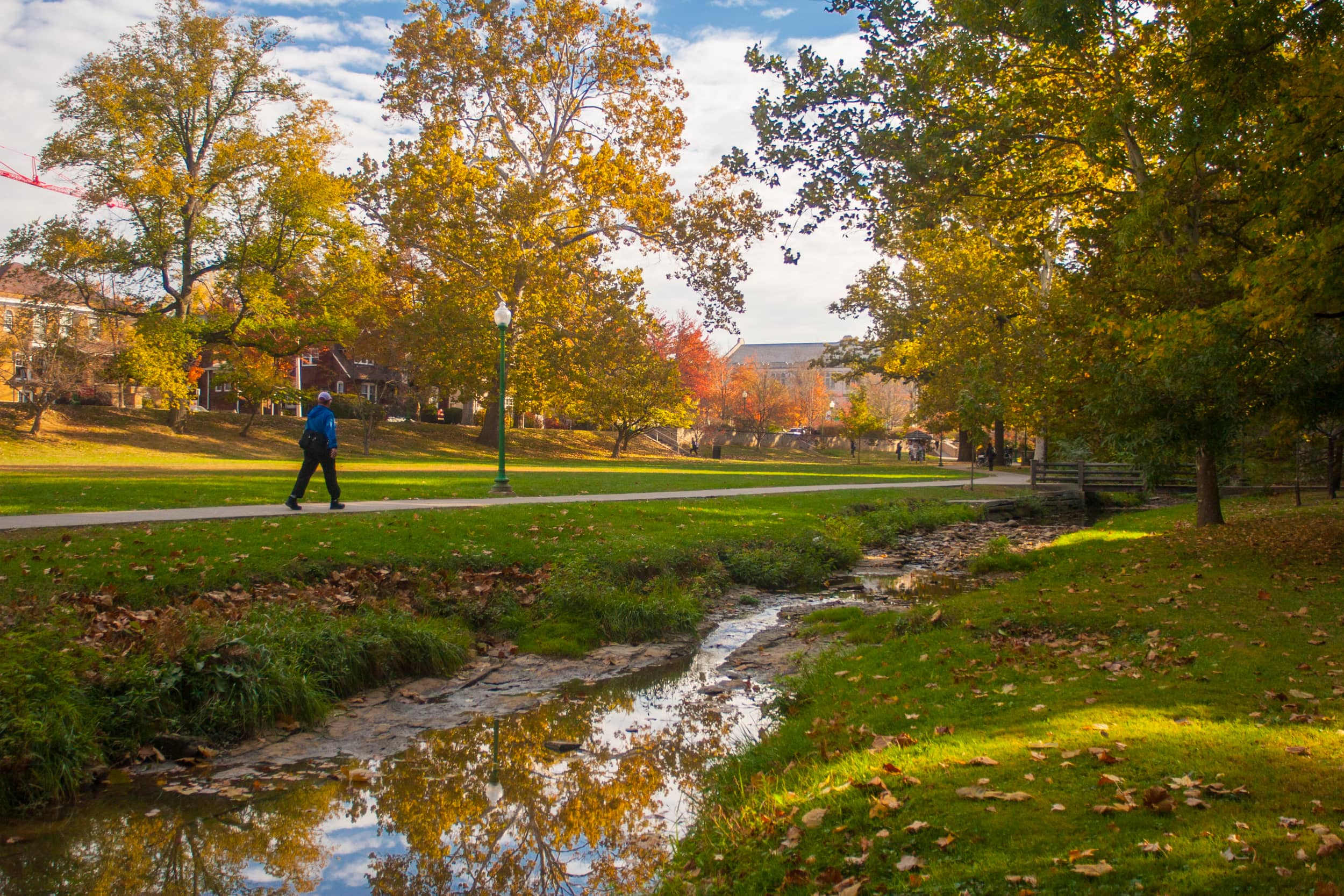 Dunn Meadow