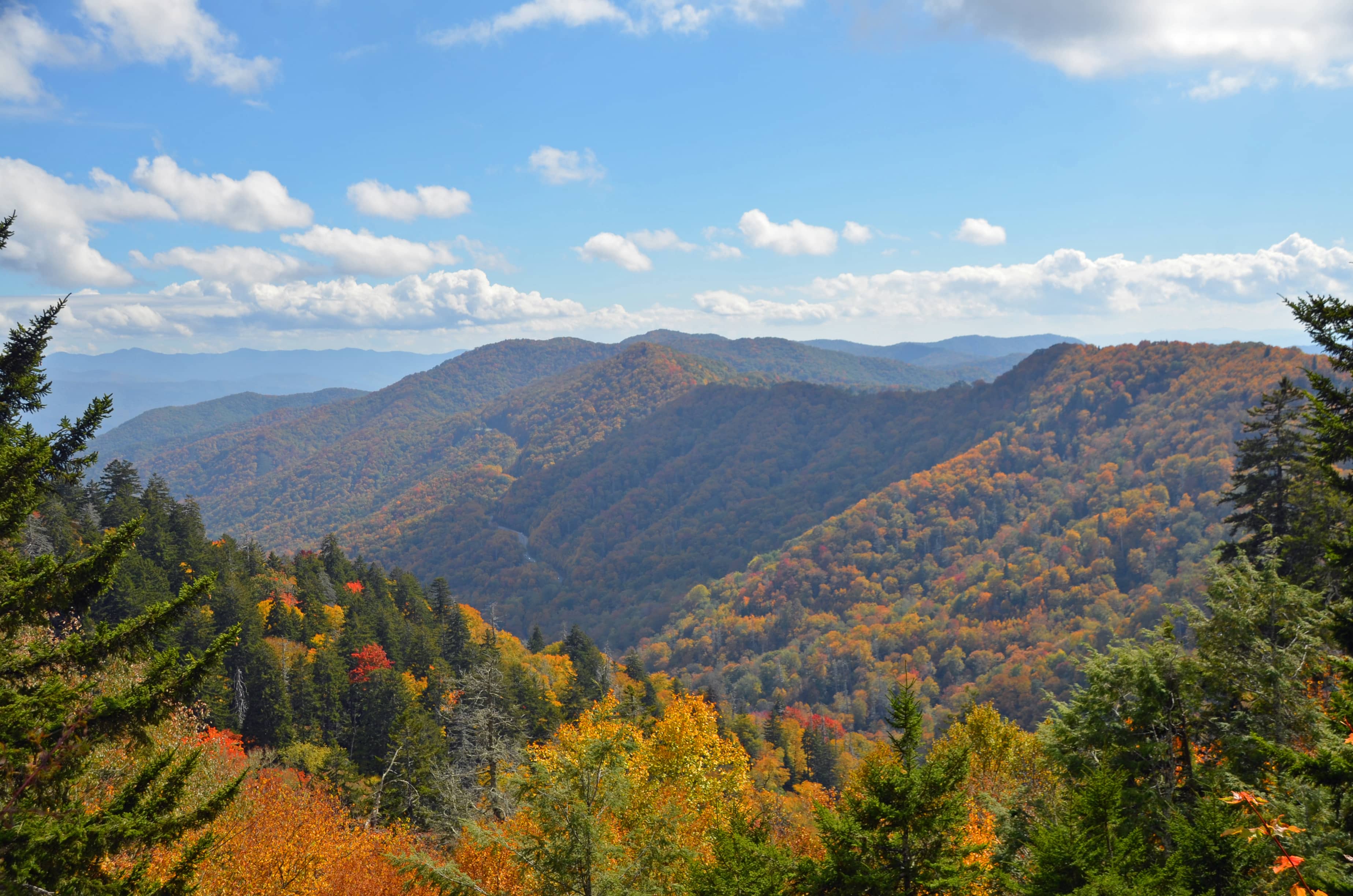Panoramic Mountain Views