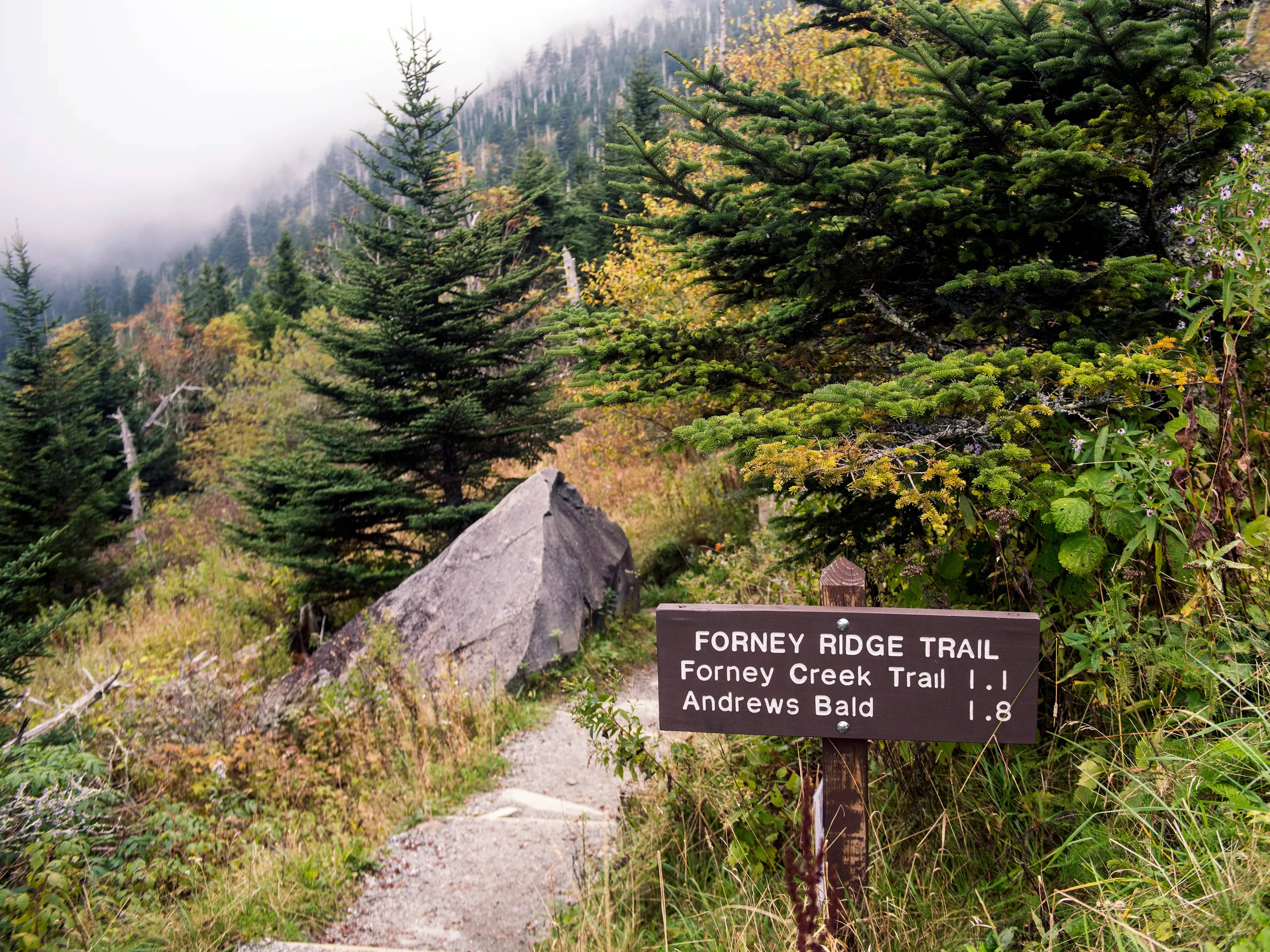 Forney Ridge Trail