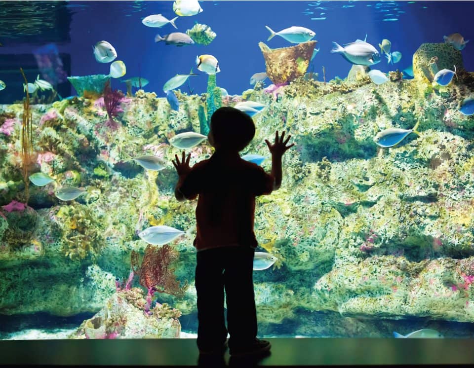 NC Aquarium at Fort Fisher