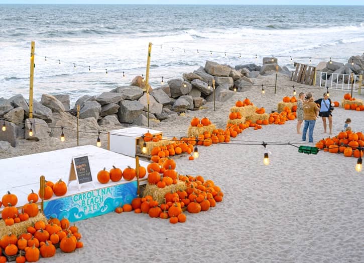 Seasonal Pumpkin Patch
