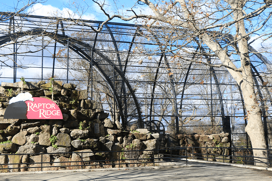 Bird World & Butterfly Hollow